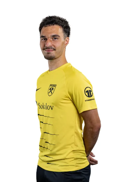 Radim Stehlík